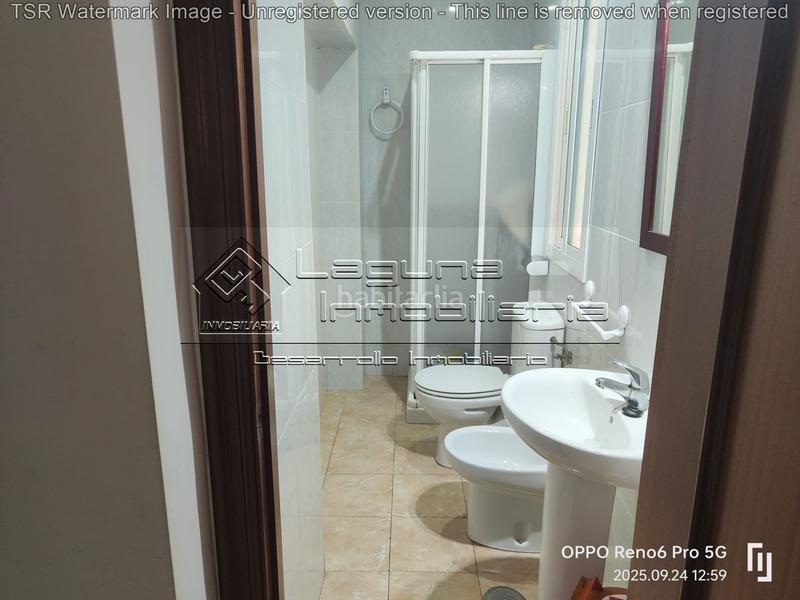 Foto f2017d54-1eb4-4715-987e-b1cc9475a9c9. Pis a Alameda - Mentidero - Teatro Falla Cádiz