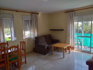 Rent Apartment in Centro
