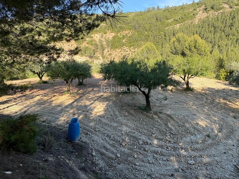 Foto df97bdc0-83a5-475b-98e9-6b9784676258. Masia amb aparcament a Buñol