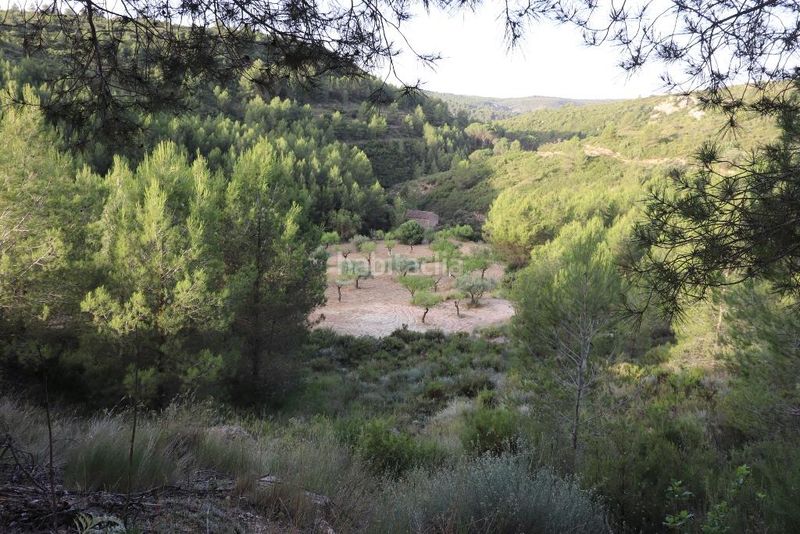 Foto f8f042ac-2ba4-4083-b9b5-28e6ce52c202. Masia amb aparcament a Buñol