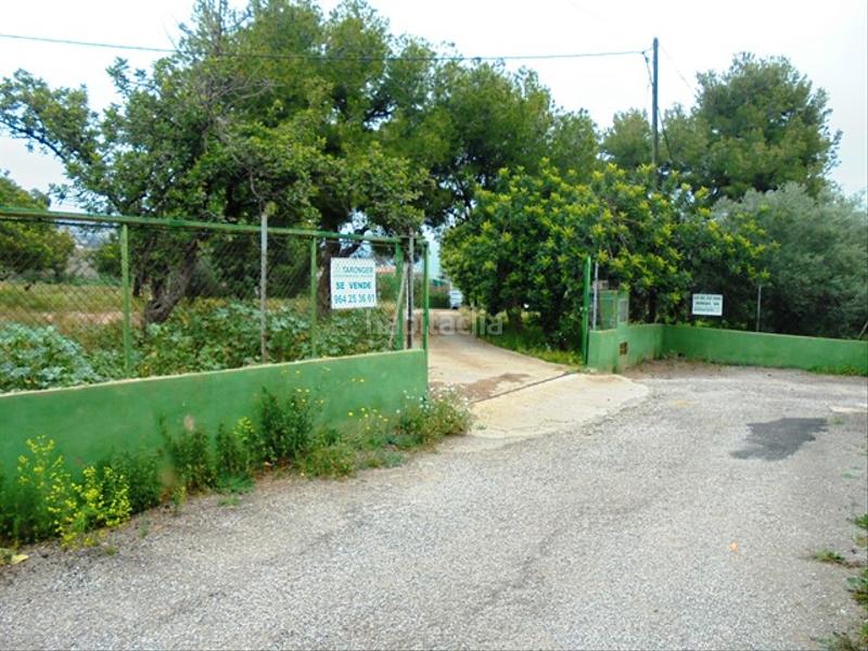 Foto 140bea71-b668-462d-89d3-742fdc32b1c1. Fondo rustico in partida bovalar 2 in Estadio Castalia Castellón de la Plana