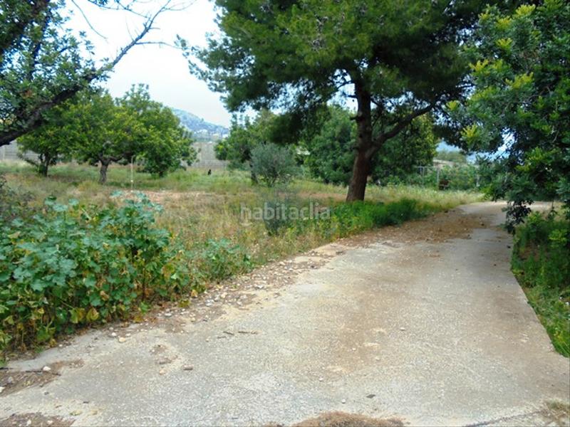 Foto 2fd81345-7960-4dce-8d1b-b61cd185ef0c. Fondo rustico in partida bovalar 2 in Estadio Castalia Castellón de la Plana
