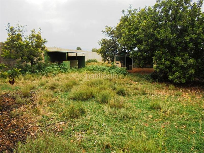 Foto 46f6933c-bc4c-4f0e-a068-996bc4e8d471. Fondo rustico in partida bovalar 2 in Estadio Castalia Castellón de la Plana