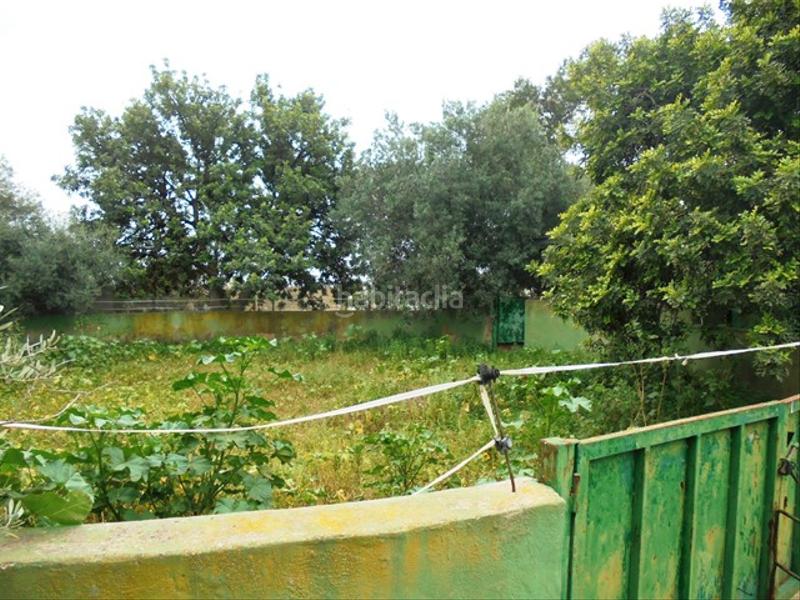 Foto 55d7348a-94ce-411c-9cc6-0ac46420aa2d. Fondo rustico in partida bovalar 2 in Estadio Castalia Castellón de la Plana