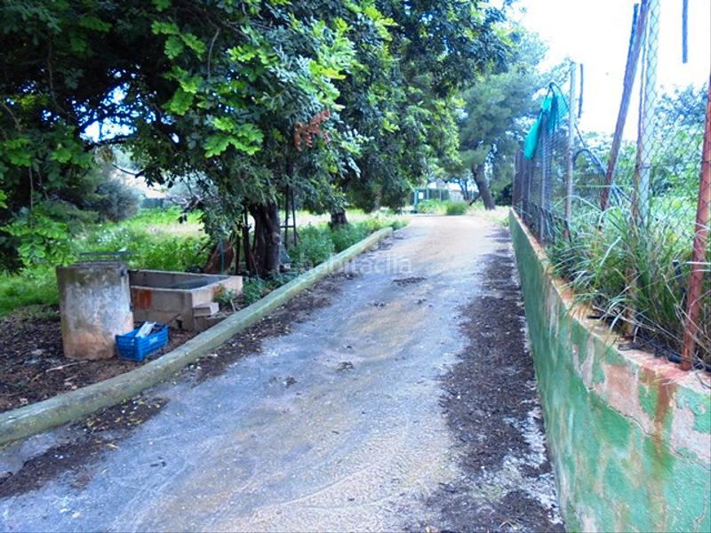 Foto 680ad852-e104-4205-be88-6613cae8a1a9. Fondo rustico in partida bovalar 2 in Estadio Castalia Castellón de la Plana