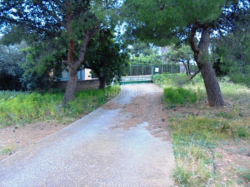 Foto a664d469-8146-4e7d-90ac-0d543f901290. Fondo rustico in partida bovalar 2 in Estadio Castalia Castellón de la Plana
