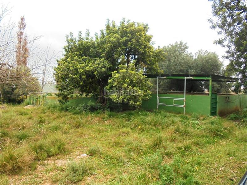 Foto cc747fdb-204a-49a2-81d1-313436d420e3. Fondo rustico in partida bovalar 2 in Estadio Castalia Castellón de la Plana