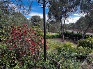 Xalet  Calle picapedreros. Chalet en urbanización las jaras, junto al lago de la encantada Xalet  Calle picapedreros. Chalet en urbanización las jaras, junto al lago de la encantada