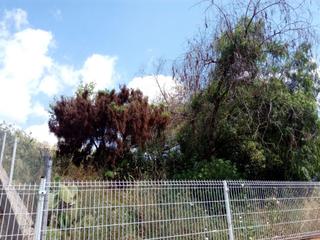 Terreny residencial a Cabrera d´Anoia. Dos parcelas en venta en urbanización can formica, cabrera danoi