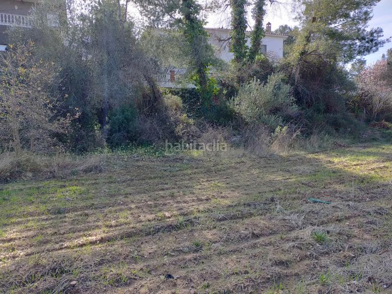 Foto 7feefca1-e358-43fc-adfd-8c00e252195a. Terreny residencial a Avinyonet del Penedès