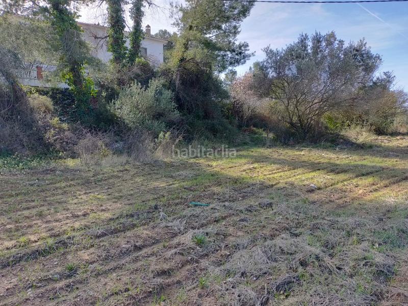 Foto d635df33-93bf-459c-adbc-3d6c2aa6c64c. Terreny residencial a Avinyonet del Penedès