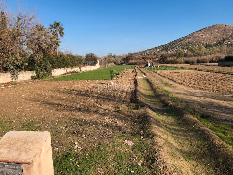Foto 5987cd77-3e65-4b5b-bd72-5568c1f7139d. Finca rústica a Puente Tablas - Puente Nuevo - Cerro Molina Jaén