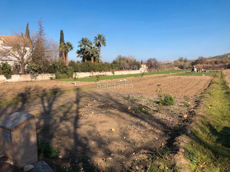 Foto ce0b8028-5912-4922-b030-bf0d74947485. Finca rústica a Puente Tablas - Puente Nuevo - Cerro Molina Jaén