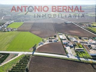 Finca rústica a Parque Atlántico - Ronda este