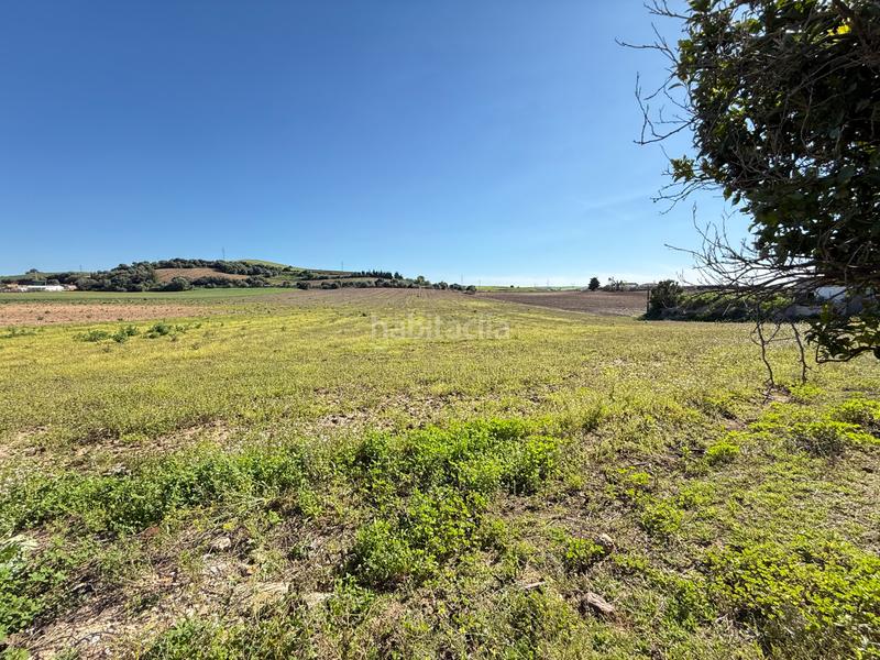 Foto 779cbfae-3897-44d0-b8e2-13f24cc87bf9. Finca rústica en Parque Atlántico - Ronda este Jerez de la Frontera