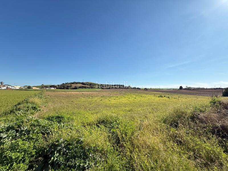 Foto 7f5f4068-389f-4474-925e-4deb48e19a3a. Finca rústica en Parque Atlántico - Ronda este Jerez de la Frontera