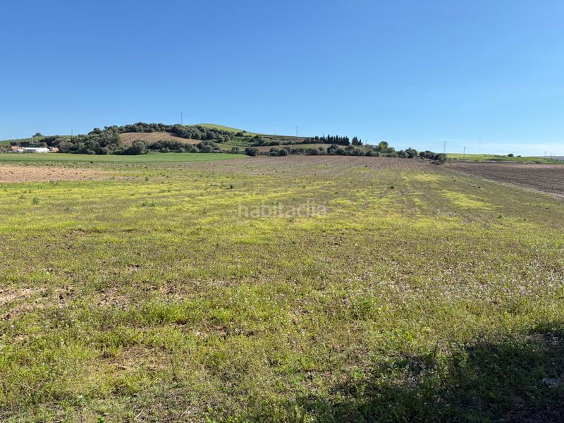 Foto 7fe48d99-fcd1-42fe-9355-e6596d34d397. Finca rústica en Parque Atlántico - Ronda este Jerez de la Frontera