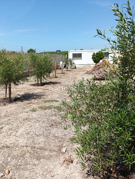 Foto 02a9f059-b620-45a7-9495-aa81ecfd602a. Wohngrundstück in Parque Atlántico - Ronda este Jerez de la Frontera