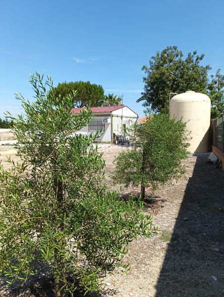 Foto e380e120-4b24-4e2c-b796-b8d0eafe0658. Wohngrundstück in Parque Atlántico - Ronda este Jerez de la Frontera