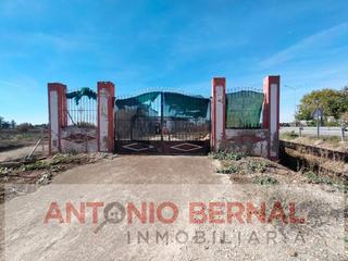 Rural plot in Parque Atlántico - Ronda este