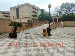 Pis a Santiago - Coronación