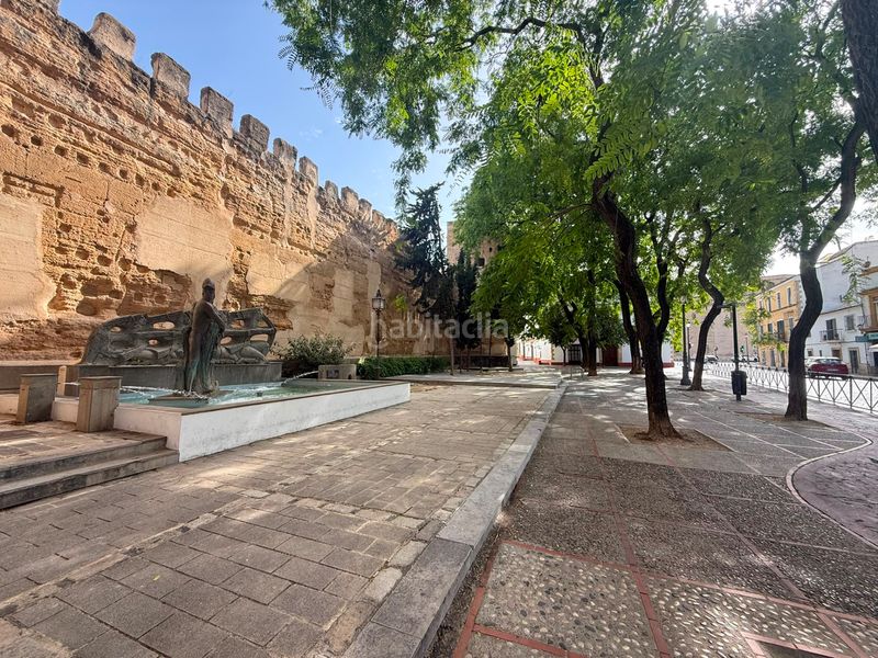 Foto ba998d52-bd35-45cd-887b-86414729462d. Duplex con parcheggio in Centro Jerez de la Frontera