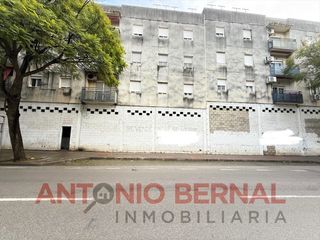 Local Comercial a San Telmo - Federico Mayo - El Porta
