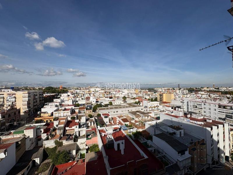 Foto 9a77d868-a19c-43a0-aebe-c1d1c992d902. Pis a Barrio Alto San Juan de Aznalfarache