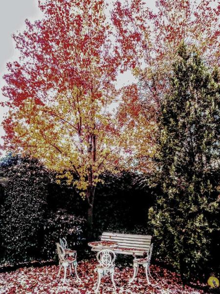 Foto 1aed08ab-fb14-4107-a34b-250bb3486026. Miete erdgeschoss mit heizung parking pool in Valdemarín Madrid