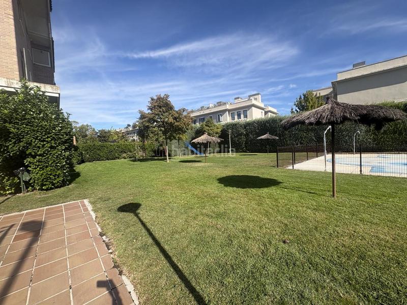 Foto 4b0362ca-ad30-47b8-83aa-3a1fcec5182b. Lloguer planta baixa amb calefacció aparcament piscina a Madrid