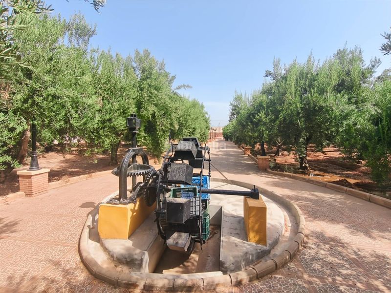 Foto bc334f53-e968-4836-b6fc-a76065528c02. Xalet amb xemeneia aparcament piscina a Piedras Redondas - Torrecárdenas Almería