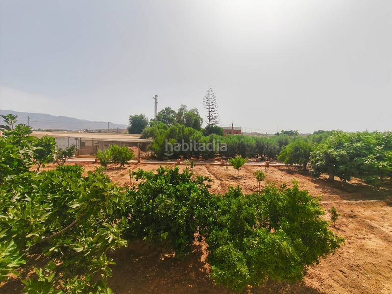 Foto e0ad8d52-f3c4-4d96-b6fb-b11f06e4b31a. Xalet amb xemeneia aparcament piscina a Piedras Redondas - Torrecárdenas Almería