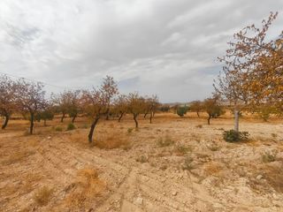 Finca rústica a Uleila del Campo