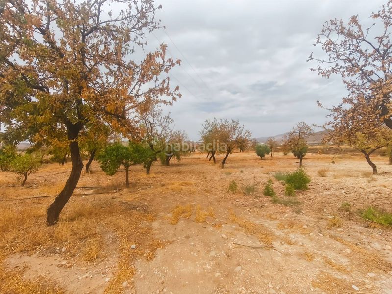 Foto ddef36a7-f740-4923-ada1-e2cb1e8cec08. Finca rústica en Uleila del Campo