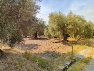 Finca rústica a Ugíjar