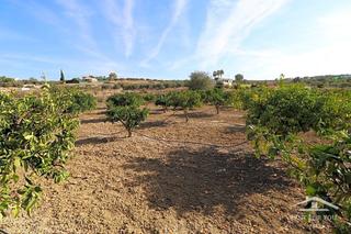 Finca rústica  Calle cruz. Finca en venta en la zona de la fresneda, a tan sólo 5 minutos e