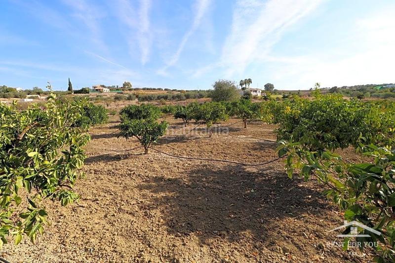 Foto 07af703b-98d1-435e-b86e-5627ecdbb8d9. Finca rústica a Centro Alhaurín el Grande