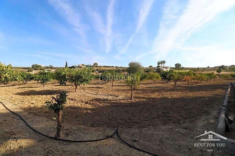 Foto 424a89dc-c472-46ef-9115-a45bde141388. Finca rústica a Centro Alhaurín el Grande