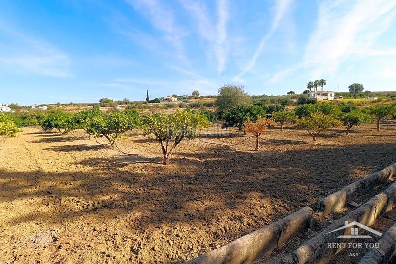 Foto 450a27fd-21dd-4341-bd8e-3e5d423374a5. Finca rústica a Centro Alhaurín el Grande
