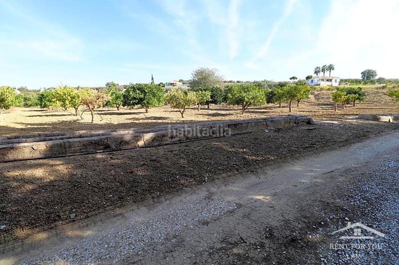 Foto 471edd12-207d-423a-b3e2-29eade2bd12c. Finca rústica a Centro Alhaurín el Grande