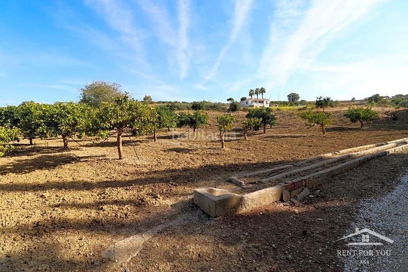 Foto 88f4985d-0ee1-49e8-ad62-ba8c0b803b47. Finca rústica a Centro Alhaurín el Grande