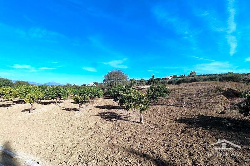 Foto 9ce86a91-e364-4e26-9fda-5a93e20ae63b. Finca rústica a Centro Alhaurín el Grande