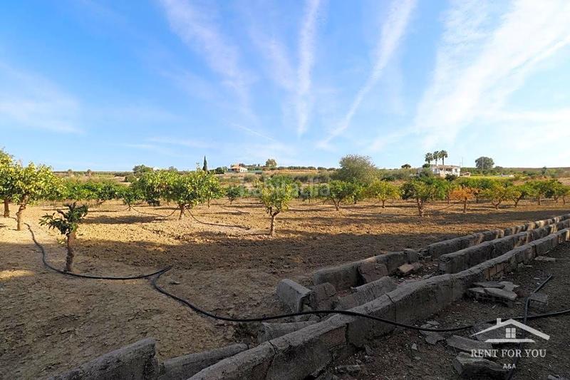 Foto 9d82b05b-200a-4787-a1b9-b40bde767682. Finca rústica a Centro Alhaurín el Grande
