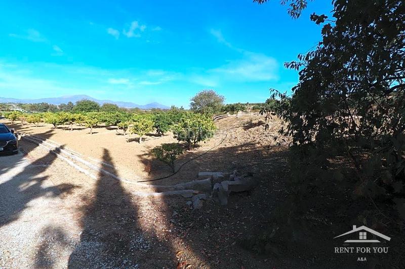 Foto d6f9a51a-3f0c-482a-8adb-5bbe3ca93a05. Finca rústica a Centro Alhaurín el Grande