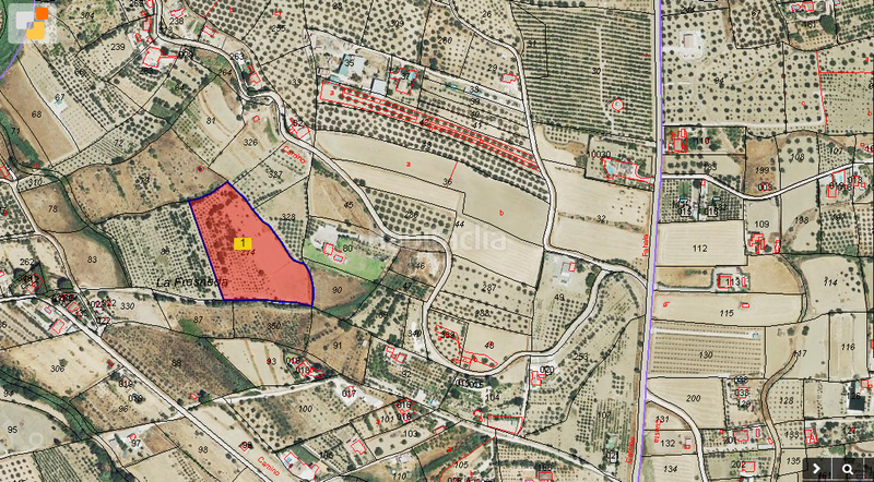 Foto eb84c824-16cf-4a57-9667-fa61dfc12a38. Finca rústica a Centro Alhaurín el Grande