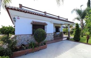 Rent House in Centro. Chalet independiente en el campo