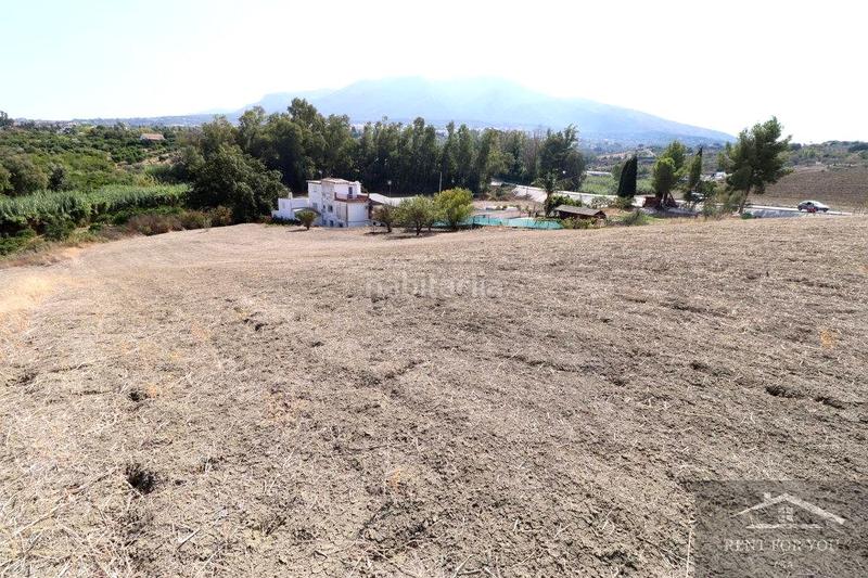 Foto b34a7951-60a8-44df-8009-66ffa275b7b8. Terreny residencial a Centro Alhaurín el Grande