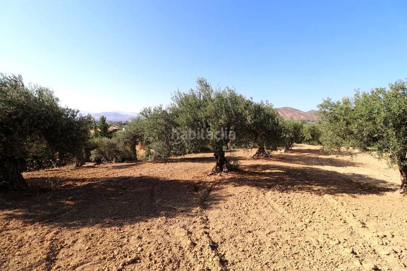 Foto 14ff83f8-b3e5-4c9a-8925-49f191a8ca9d. Masia a Centro Alhaurín el Grande