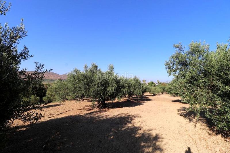 Foto 3b1337c1-423f-41fa-ada1-67cb41126e45. Masia a Centro Alhaurín el Grande