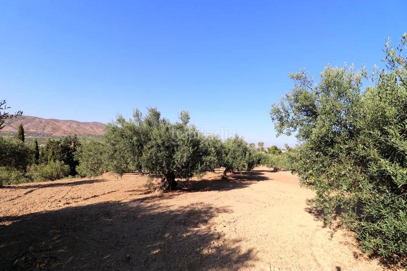 Foto 679bb93c-7872-4ab4-b0f0-82c568c71c72. Masia a Centro Alhaurín el Grande